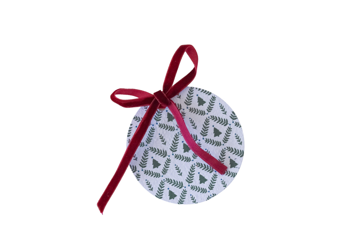 Evergreen Plantable Gift Tag and Ribbon