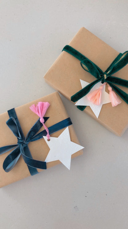 Plantable Star Gift Tag