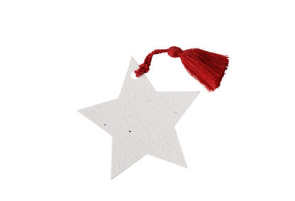 Plantable Star Gift Tag